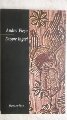 Andrei Plesu - Despre ingeri, 2004 (vezi detalii pentru livrare in tara) foto