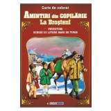 Amintiri din copilarie: La Brosteni. Povestire