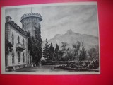 HOPCT 23787 YALTA-TOLSTOI- - CEHOV - --RUSIA--MUZEE - CP PICTURA --NECIRCULATA