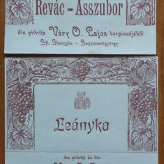2 etichete interbelice de vin si o banderola din Sfantu Gheorghe , 2