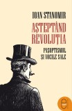 Asteptand revolutia. Pasoptismul si vocile sale (pdf) - LibHumanitas