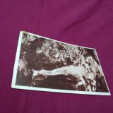 CARTE POSTALA MUNTII BUCEGI-URLATOAREA INTERBELICA NECIRCULATA UZATA