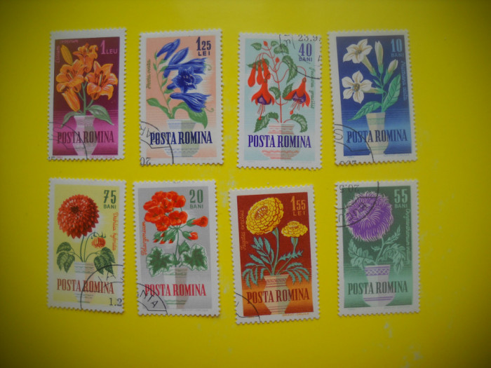 HOPCT LOT NR 246 FLORI DE GRADINA 1964 -8 TIMBRE VECHI-STAMPILAT ROMANIA