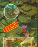 CPIB 15410 - CARTE POSTALA - BAILE FELIX. MOZAIC