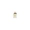 Dolce &amp; Gabbana Dolce EDP 75 ml
