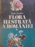 FLORA ILUSTRATA A ROMANIEI VOL.1 DETERMINAREA SI DESCRIEREA SPECIILOR SPONTANE SI CULTIVATE-VASILE CIOCIRLA-273337