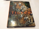 TIGERS -TIGRII ALBUM FOTOGRAFIC--RF14/2