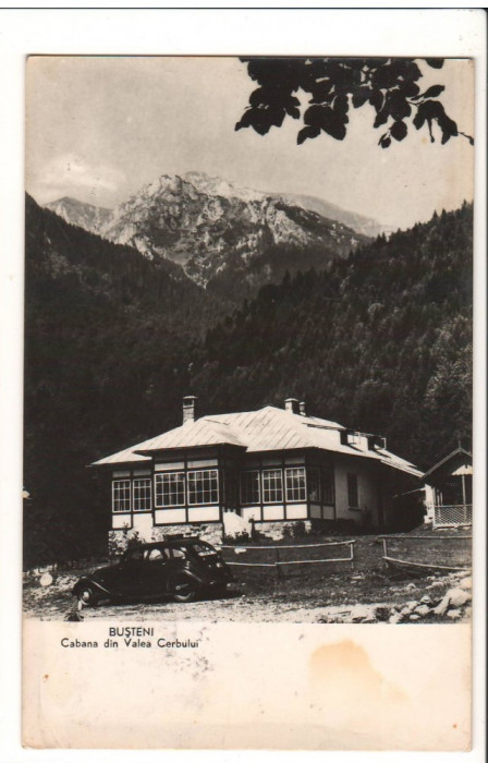 CPI B12927 CARTE POSTALA - BUSTENI, CABANA DIN VALEA CERBULUI, RPR