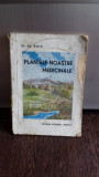 PLANTELE NOASTRE MEDICINALE - AL. BUIA