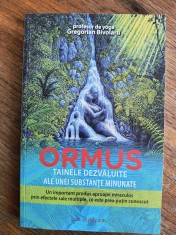 Ormus - Gregorian Bivolaru / R1F foto