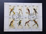 Dhofar (Oman) 1972 Serie Fauna Păsări Exotici și Răpitoare Bloc / Mini-Coală 8v Ștampilat - A90