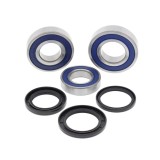 Cumpara ieftin Kit Rulmenti Roata spate YAMAHA YZF-R1 1000 2015-2017 All Balls 25-1727