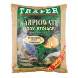 Nada CARP FAMILY Traper 2,5kg, aroma capsuna, pentru crap, caras si amur