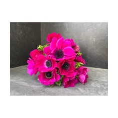 Anemone, Coronaria Sylphide, Roz, 5/6, 1 Bulb