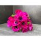 Anemone, Coronaria Sylphide, Roz, 8/+, 1 Bulb