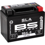Cumpara ieftin Baterie BS Battery SLA (4AH 12v)