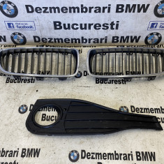 Grile nari bara fata originale BMW seria 4 F32,F33,F36