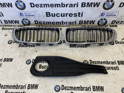 Grile nari bara fata originale BMW seria 4 F32,F33,F36 foto