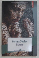 DURERE de ZERUYA SHALEV , 2016 foto