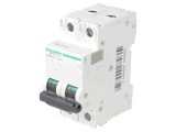 &Icirc;ntrerupător de Supracurent 500VDC 40A 2 Poli C
