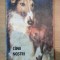 CAINII NOSTRI , BULETIN DOCUMENTAR , NR 2 , ANUL AL VIII-LEA de RUXANDRA NICOLESCU