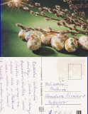 Ilustrata Cehia-Felicitare pasti