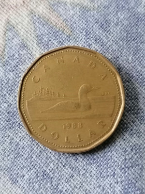 MONEDA - 1 DOLLAR 1988-CANADA foto