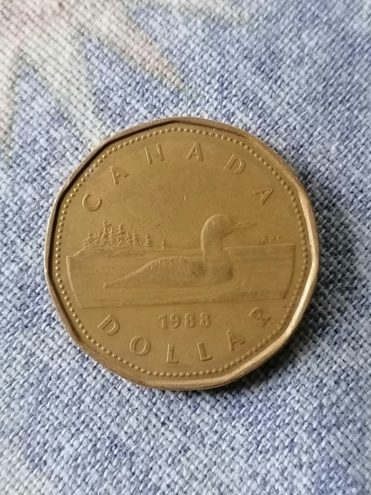 MONEDA - 1 DOLLAR 1988-CANADA