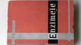 ENZIMELE - Ilie Vasilescu (5+1)5