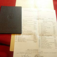 Diploma de Inginer in Agriculturasi Anexe Zootehnie 1958 Inst.Agr.N.Balcescu Buc