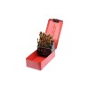 Set 25 burghie titan pentru metal 1 - 13 mm Sthor 22340