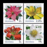 Flori de iarnă 2020 LP 2310