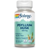 Psyllium Husk 525mg 100cps