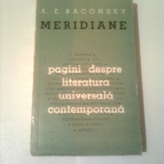 MERIDIANE - PAGINI DESPRE LITERATURA UNIVERSALA CONTEMPORANA ~ A.E. BACONSKY