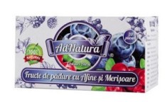 FRUCTE DE PADURE CU AFINE&amp;amp;MERISOARE 20DZ foto