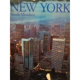 Sandu Mendrea - New York (Editia: 1976)