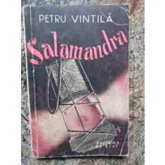 PETRU VINTILA - SALAMANDRA