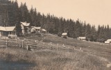 1925 Șanta (Paltiniș), Poiana Cerbului - ilustrata rara cabane SKV Sibiu, Necirculata, Fotografie