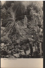 CPI B13573 CARTE POSTALA - CLUJ - GRADINA BOTANICA, RPR