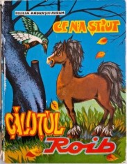 Ce n-a stiut calutul roib ? Felicia Andrasiu Avram (coperta putin uzata) foto