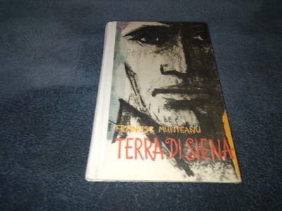 FRANCISC MUNTEANU - TERRA DI SIENA CARTONATA foto