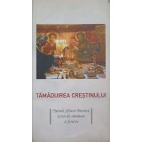 TAMADUIREA CRESTINISMULUI. TAINELE SFINTEI BISERICI, IZVOR DE SANATATE SI FERICIRE-GHEORGHITA CIOCIOI-244981