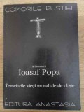 TEMEIURILE VIETII MONAHALE-ARHIMANDRIT IOASAF POPA-1998-Editura ANASTASIA-Carte Crestinism-12x16 cm-254 pagini