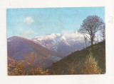 RF5 -Carte Postala- Muntii Fagaras, varful Suru, circulata 1976