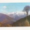 RF5 -Carte Postala- Muntii Fagaras, varful Suru, circulata 1976
