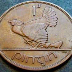 Moneda istorica 1 PINGIN - IRLANDA, anul 1937 *cod 144 A