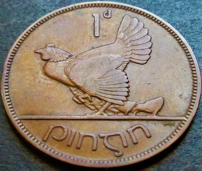 Moneda istorica 1 PINGIN - IRLANDA, anul 1937 *cod 144 A foto