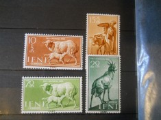 SERIE IFNI COLONII SPANIOLE foto