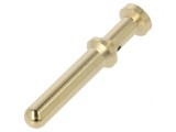 Pin tată aurit 2,5mm2 40A crimpat