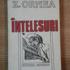 INTELESURI de Z.ORNEA